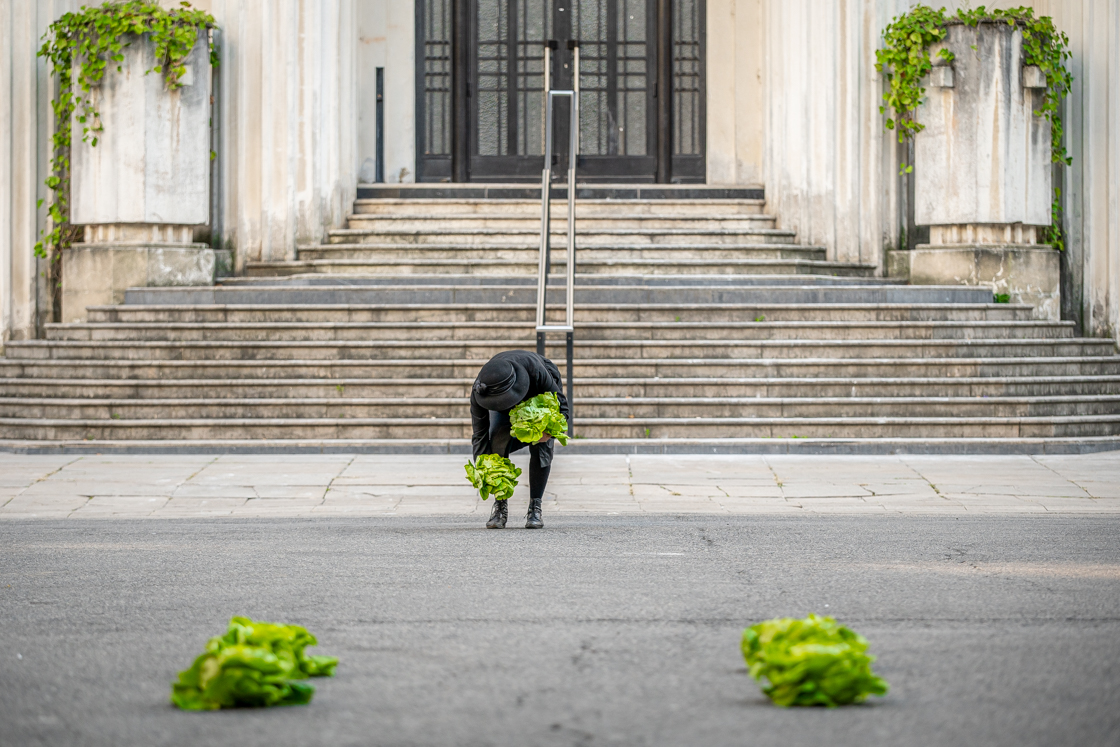 Photo arts de la rue performance de rose princesses peluches ateliers frappaz villeurbanne