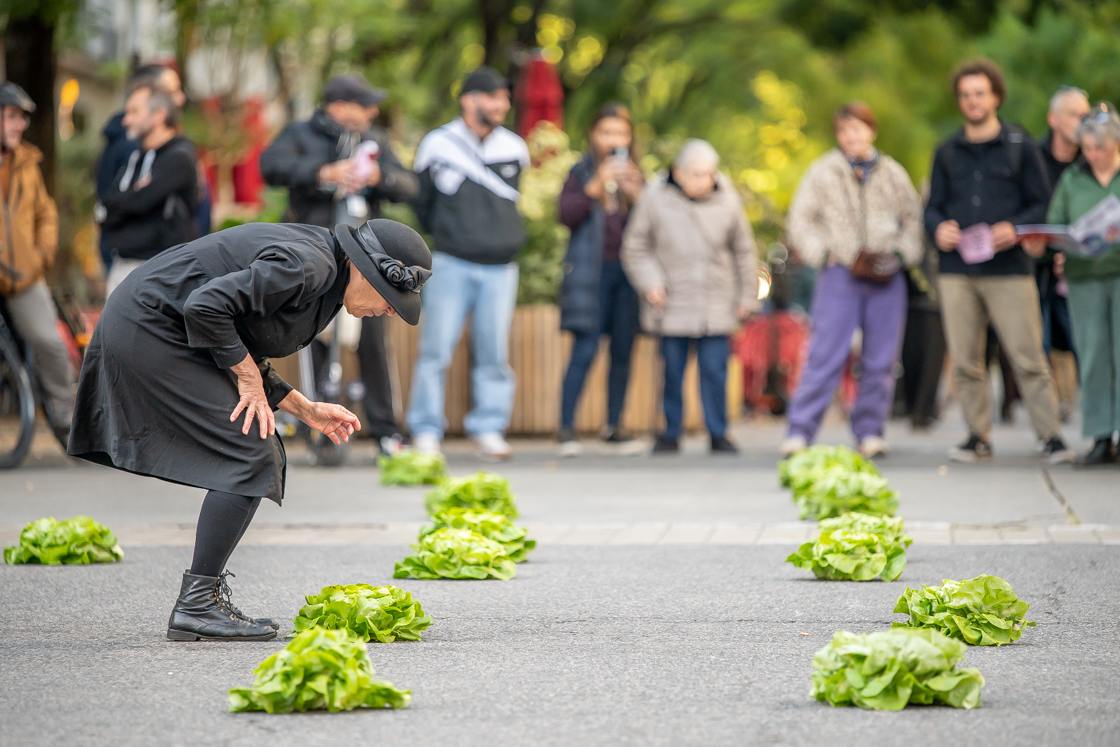 Photo arts de la rue performance de rose princesses peluches ateliers frappaz villeurbanne