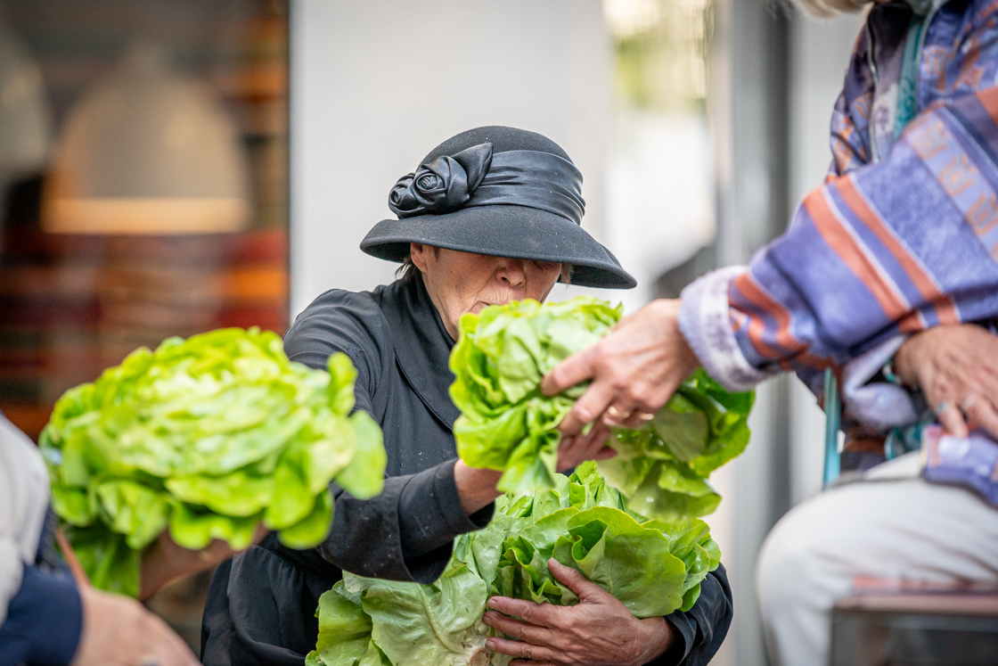 Photographie arts de la rue performance de rose princesses peluches ateliers frappaz villeurbanne